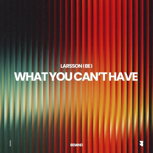 What You Can´t Have